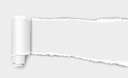 white torn wisp paper with curl and shadow vector image