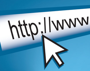 Web Browser Interface vector image