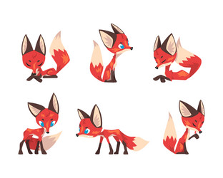 Cute red fox with bushy tail in different pose vector