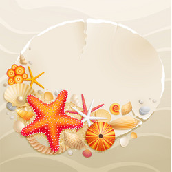 Shells and starfish Royalty Free Vector Image - VectorStock