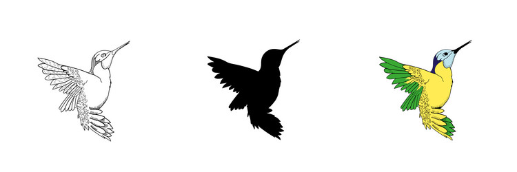 Set three hummingbirds in different style vector