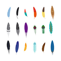 Colored feathers set Royalty Free Vector Image