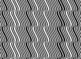 abstract black and white pattern line mesh design vector image