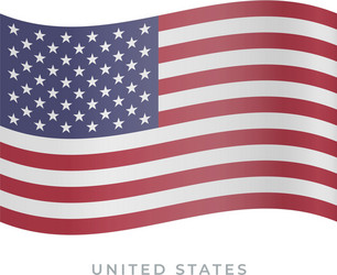 United states waving flag icon vector