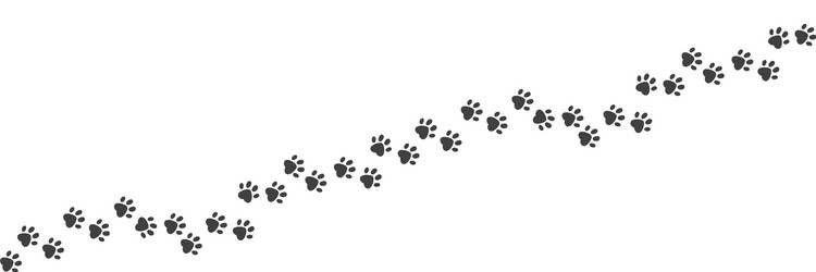Cat and Dog Paw Prints - Trail Vector Image