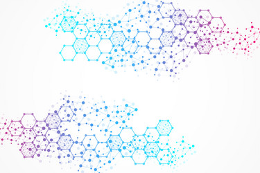 science network pattern connecting lines and dots vector image
