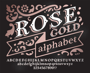 Retro rose gold font vector