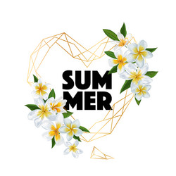Tropical Plumeria Summer Background vector image