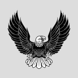 Bald Eagle Spreading Wings - Black & White Vector Image