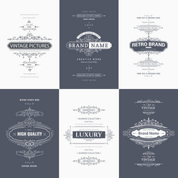 design elements vector image