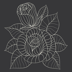 rose flower drawing Vector Image