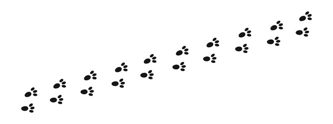 bunny pawprints rabbit paw stamps trace of wet Vector Image
