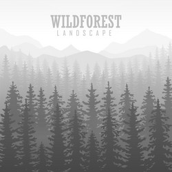 Wild coniferous forest background pine tree vector