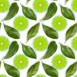 Seamless endless pattern with print fresh lime vector
