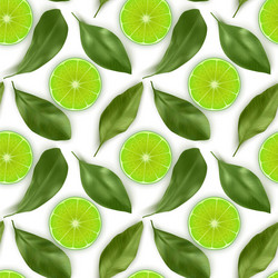 Seamless endless pattern with print fresh lime vector