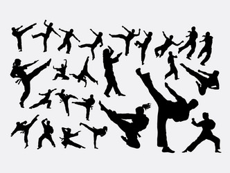 Martial Arts Silhouettes - Men & Women Vector Image
