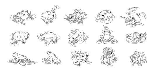 frogs set different species of amphibian reptile vector