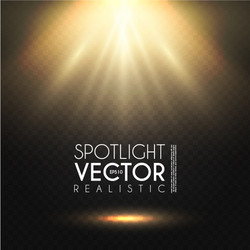 Spotlight transparent light effect show design Vector Image