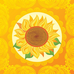 sun flower vector image