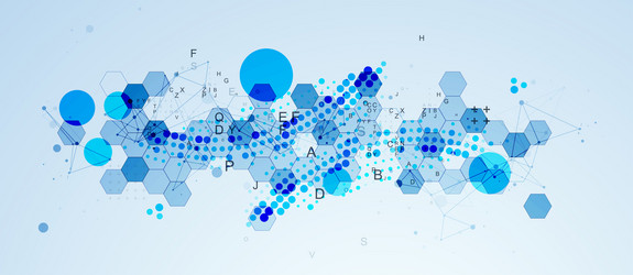 abstract hexagon background with plexus effect vector image