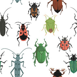 drawing seamless pattern with bugs vector image