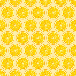 Lemon Slice Pattern vector image