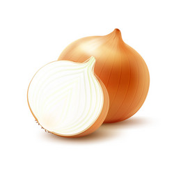 Whole and sliced yellow onion bulbs on background vector