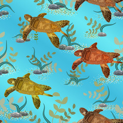 turtles and algae in a pattern vector image