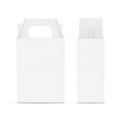 carry boxes with handle front side view vector image