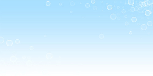 random soap bubbles abstract background blowing b vector image