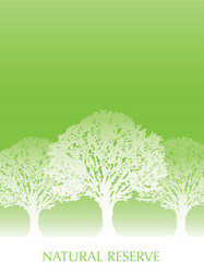 Fresh green tree background with text space vector