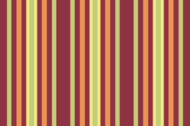 ribbon pattern vertical web fabric textile stripe vector image