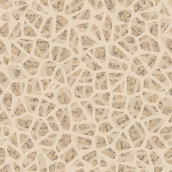Bone inside structure seamless pattern eps 10 vector