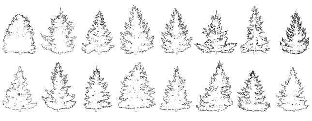set of fir trees for architecture and landscape vector image