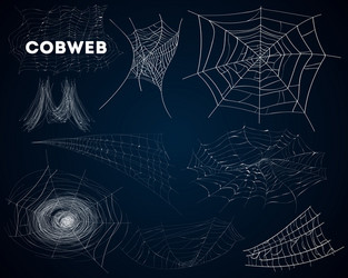 Spider cobwebs various forms isolated set vector