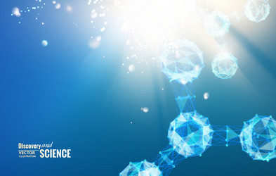 Molecular Network Structure vector image
