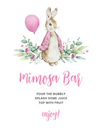 mimosa bar poster with watercolor pink peter Vector Image