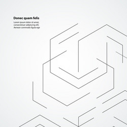 design with connect hexagon vector image
