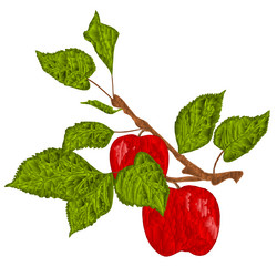 Branch apple tree with red apples polygons vector