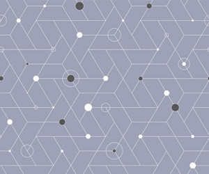 geometric cubic grid seamless pattern vector image