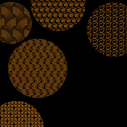 golden circles with different patterns on black vector