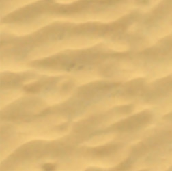 Sand summer beach seamless background Royalty Free Vector