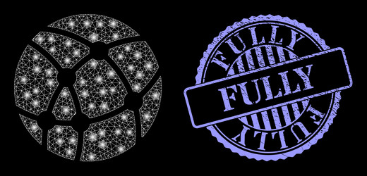rubber fully badge and shiny net web sphere vector image