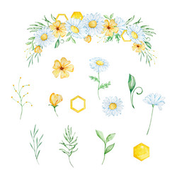 watercolor floral frame with honeycomb daisy Vector Image