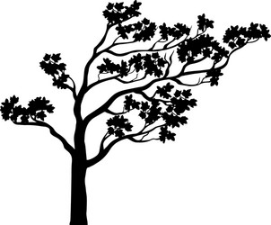 Sakura Tree Silhouette Vector Image