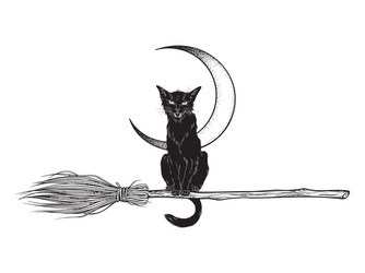 Black Cat In The Dark. Icon Cat For Tattoo Or T-shirt Design Or