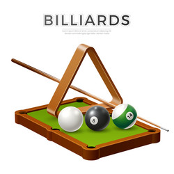 Realistic billiard snooker pool ball cue Vector Image