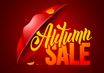 autumn sale Vector Image