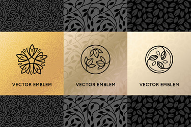 set of design elements labels and frames vector image