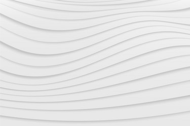 abstract gradient white and gray line template vector image